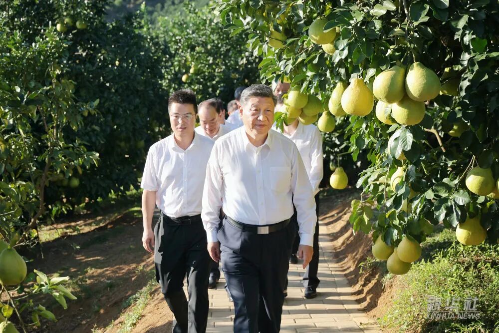 金沙(8087-js认证)娱场城-Officialwebsite